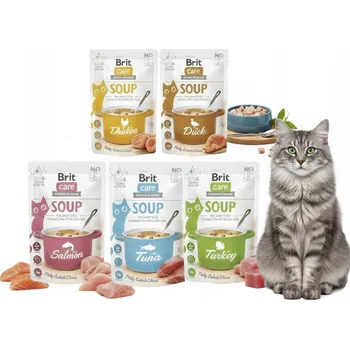 Krmivo pro kočku BRIT CARE SOUP krmivo mokrá polévka pro kočky mix chutí 5 x 75 g zdravá