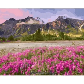 Obraz OBRAZ K VYMALOVÁNÍ PODLE ČÍSEL 40X50 Tvoje-Hobby