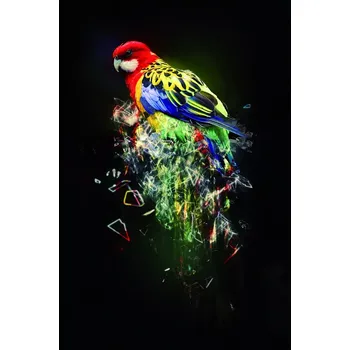 Plakát Sablio Plakát Barevný papoušek - 60x40 cm