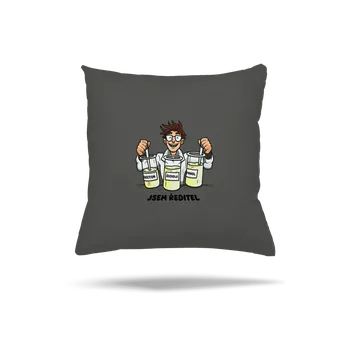 Polštář Bastard Jsem ředitel polštář Gray Pol