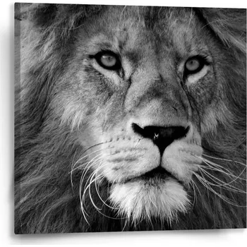 Obraz Sablio 52582982 50 x 50 cm příroda