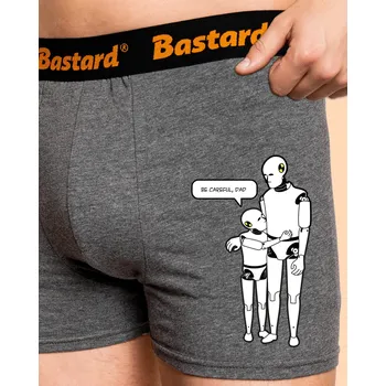 Trenýrky Bastard Sirotek boxerky Gray Melange