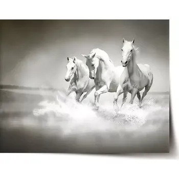 Plakát Sablio Plakát Bílí koně - 90x60 cm