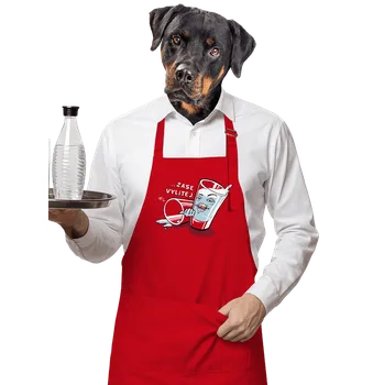 Kuchyňská zástěra Bastard Zase vylitej zástěra Red