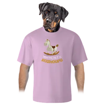 Pánské tričko Bastard Než se rozhoupu unisex tričko oversized Orchid