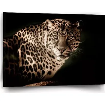 Obraz Sablio Obraz Levhart - 60x40 cm