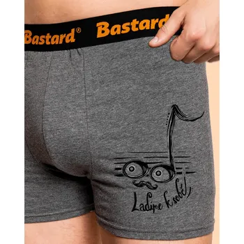 Trenýrky Bastard Ladíme k sobě boxerky Gray Melange