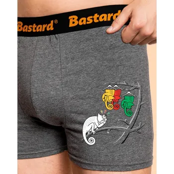 Trenýrky Bastard Těžká volba boxerky Gray Melange