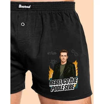 Trenýrky Bastard B19: Dylan z Beverly Hills pánské trenky Black