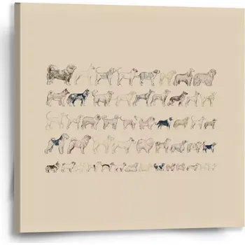 Obraz Sablio Obraz Psí plemena - 50x50 cm