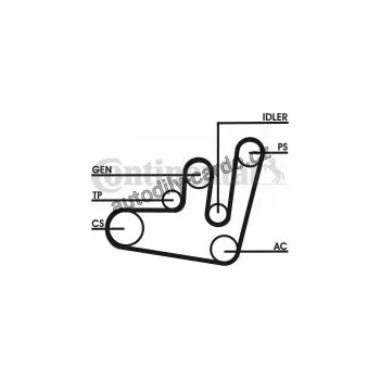 Rozvod motoru Sada drážkového řemene CONTINENTAL CTAM 6PK1660D2