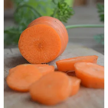 Semeno Stupická k rychlení