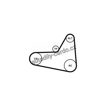 Rozvod motoru Sada drážkového řemene CONTINENTAL CTAM 6PK1054K1