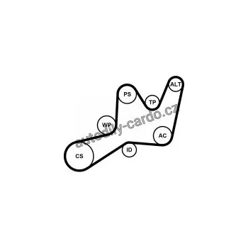 Rozvod motoru Sada drážkového řemene a vodní pumpy CONTINENTAL CTAM 6PK1605WP1