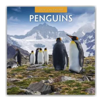 Diář Penguins - Pinguine 2026 - 16-Monatskalender (EN)