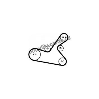 Rozvod motoru Sada drážkového řemene a vodní pumpy CONTINENTAL CTAM 6PK1125WP1