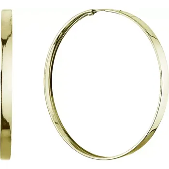 Oblečení a móda Stříbrné pozlacené náušnice kruhy 61069