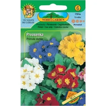 Pěstitelství Nohel Garden Prvosenka vyšší, směs - NOHEL GARDEN