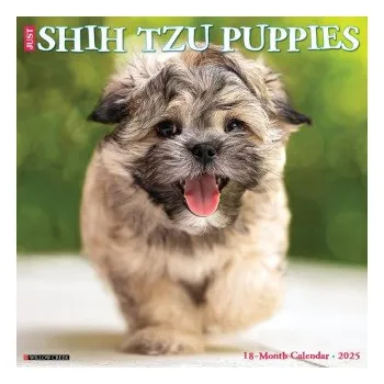 Kalendář Shih Tzu Puppies 2026 12 X 12 Wall Calendar (Kalendář)