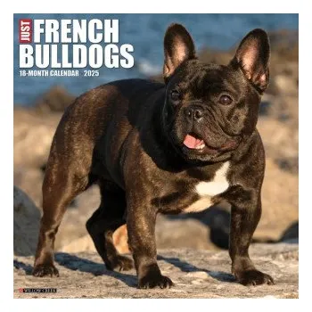 Kalendář French Bulldogs 2026 12 X 12 Wall Calendar (Brožovaná)