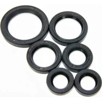 Motor pro motocykl Duells Gufera motoru BABETTA 210, 225 (sada)