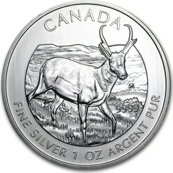 Sběratelství Stříbrná mince 1 Oz Canadian Wildlife Antelope 2013