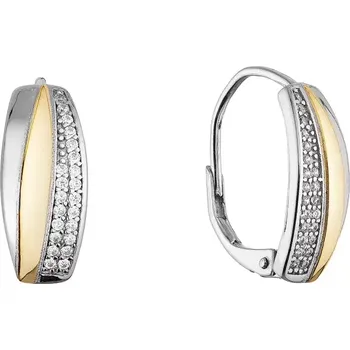 Oblečení a móda Stříbrné dvoubarevné náušnice 11677.1