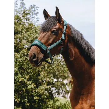 Vybavení pro koně EQUITHÈME Ohlávka nylonová 3D Mesh Equithème, green PONY