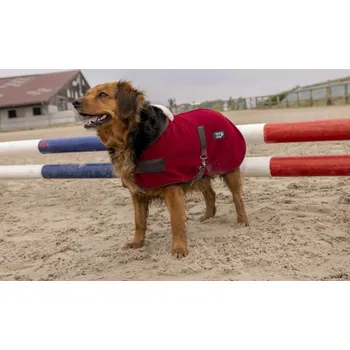 Pelíšek pro psa DIEGO & LOUNA Deka pro psy Teddy Diego & Louna, fleecová, burgundy 31 cm