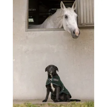 Pelíšek pro psa DIEGO & LOUNA Deka pro psy Teddy Diego & Louna, fleecová, green 31 cm