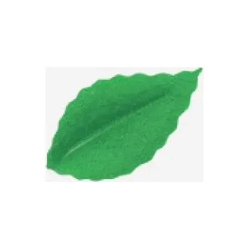 Jedlá dekorace na dort Dortisimo Dekorace z jedlého papíru Lístky zelené (100 ks)