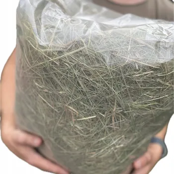 Krmivo pro hlodavce SENO 1kg SENO pro hlodavce králíka PŘÍRODNÍ BIO 1. SEČ OPAKOVÁNÍ XXL