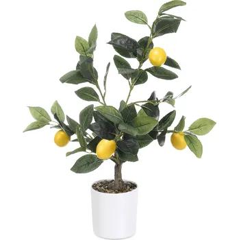 IBERGARDEN Dekorativní citronovník, 58 cm