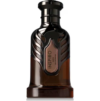 Pánský parfém Riiffs Inspiro Men EDP 100 ml M