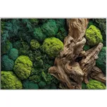 DUBLEZ Dotyk přírody mechový obraz 31 x…