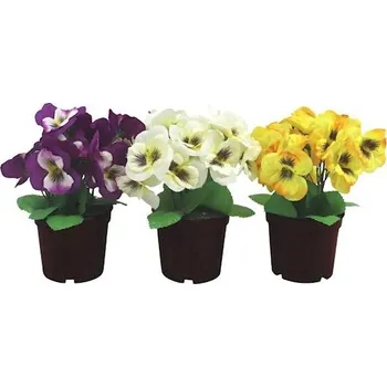 IP kamera Maceška v květináči 19 cm