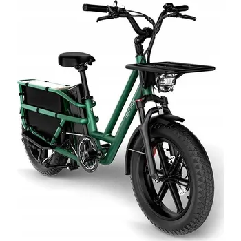 Elektrokolo Elektrokolo nákladní FIIDO T2-2025 (20'') fatbike zelené