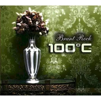 Česká hudba CD 100°C - Brant Rock [2008] - Indies Scope