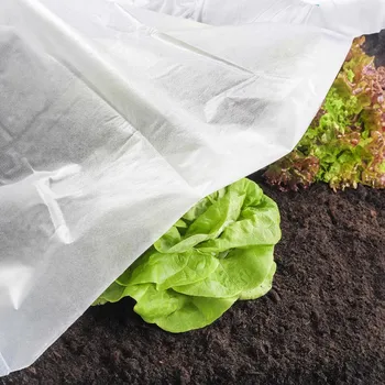 Sadbovač Haushalt international Netkaná textilie na ochranu rostlin, bílá, 5 m 834464