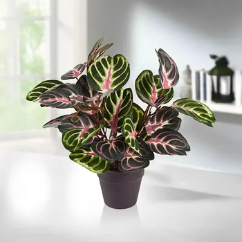 umělá květina Die moderne Hausfrau Umělá rostlina Alokázie 490365