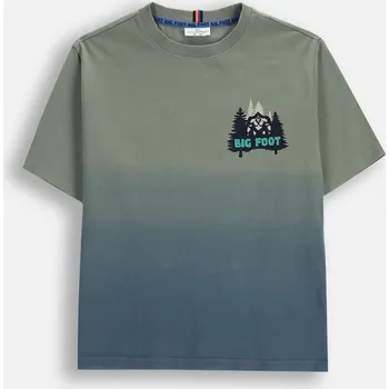 Dětské tričko zelené chlapecké T-Shirt velikost 134 Coccodrillo ZC5