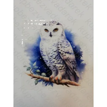Nažehlovací obrázek na folii - sova - 9 x 8,5 cm