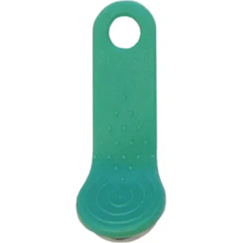 Přívěsek Na Klíče Dallas programovatelná RW1990 S2990 zelená