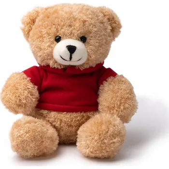 plyšák PLYŠOVÝ MEDVÍDEK v červené mikině s kapucí PLYŠÁK 17 cm