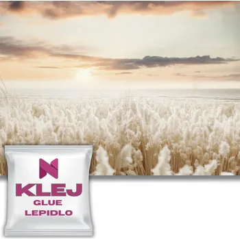 Fototapeta Světlá Béžová Fototapeta Příroda Tráva a Moře Dekorace Skandinávský Boho Styl