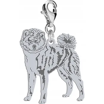 Přívěsek Stříbrný přívěsek (charms) s psem Akita Inu s gravírováním / věnováním