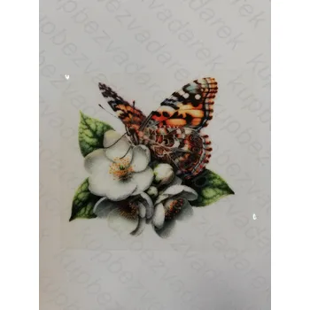 Nažehlovací obrázek na folii - motýl č.19 - 6 x 6 cm