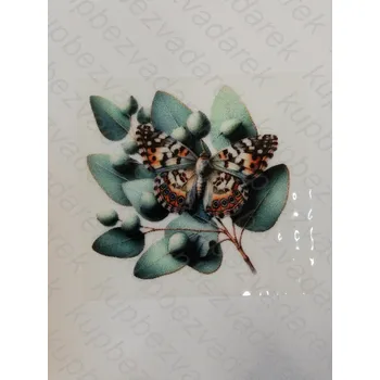 Nažehlovací obrázek na folii - motýl č.15 - 6 x 6 cm
