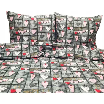 Povlečení Flanelové Povlečení 160x200 2x70x80 Bavlna bavlna