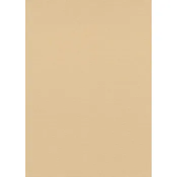 DIMEX | Vliesová tapeta na zeď WPE-902431 | 0,53 x 10,05 m | meruňková + Meruňková vliesová tapeta na stěnu WPE-902431 v rozměru 0,53 x 10,05 m